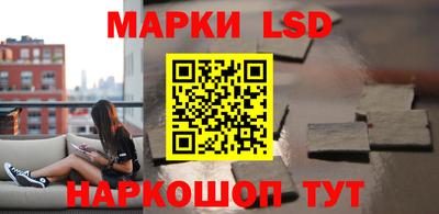 стафф Донской